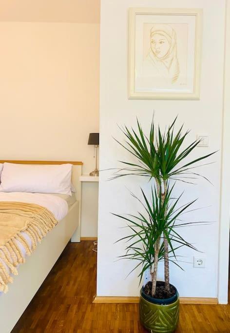 Nice And Calm Apartment In Duesseldorf エクステリア 写真